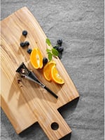 WMF TeaTime Çay Demleme Süzgeci, 13,5 cm, Ø 3,8 cm, Çay ve Baharat Demleme Çubuğu, Cromargan® Yüksek Kaliteli Parlak Paslanmaz Çelik, Plastik