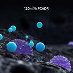 Xiaomi Smart Air Purifier 4 Lite hava temizleyici (%99,97 hayvan tüyleri, polen, toz, virüsler ve aerosole: PCADR 360m³/h, FCADR 120m³/h, 43m², dokunmatik ekran, uygulama ve ses kontrolü için optimum)