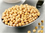 XUSHI GIDA Soya Fasulyesi ( Drıed Soybean) - 1000g