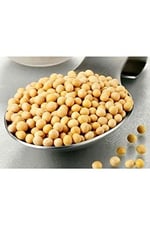 XUSHI GIDA Soya Fasulyesi ( Drıed Soybean) - 1000g