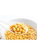 XUSHI GIDA Soya Fasulyesi ( Drıed Soybean) - 1000g