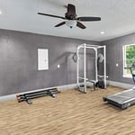 Yes4All Üniseks - Bebek Total Body Workout dambıl barı, antrenman için vücut barı Ağırlıklı antrenman çubuğu