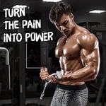 Yes4All Üniseks Kablo Bağlantısı Combo Çift D Kolu Kauçuk Lat Makine Ataşmanı Triceps Halatı Düz ​​Döner Bar V Şekli Bar Kablo Ek Kablo Ev Spor Salonu için Makine Aksesuarları