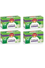 Yeşil Çay Bergamot Aromalı Bitki Çayı 20X4 Kutu