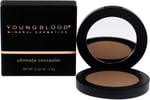 YOUNGBLOOD Fair Concealer 2 g 1 Paket (1 x 1 Adet)