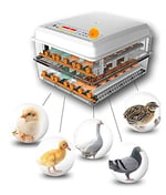 Yumurta Kuluçka Makinesi 96 Yumurta Çift Güçlü Otomatik Civciv İnkübatör Küçük Ev Akıllı İnkübatör Mini Yumurta İnkübatör Yumurta İnkübatör