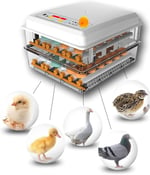 Yumurta Kuluçka Makinesi 96 Yumurta Çift Güçlü Otomatik Civciv İnkübatör Küçük Ev Akıllı İnkübatör Mini Yumurta İnkübatör Yumurta İnkübatör