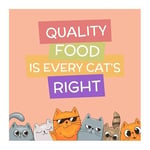 Yürekli Kedi Ödülü 80gr