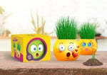 YUUP Emoji Temalı Çim Adam 6'lı Set – Çocuklar İçin Eğitici ve Eğlenceli Bitki Yetiştirme Kiti
