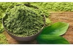 Zencefil Organik Saf Matcha Tozu 250 Gr Maça Japon Çayı Yeşil Toz