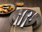ZWILLING 1026438 GREENWICH MATTED ÇATAL KAŞIK BIÇAK SETİ