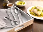 ZWILLING 1026438 GREENWICH MATTED ÇATAL KAŞIK BIÇAK SETİ