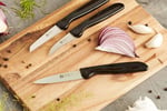 Zwilling 38115001 sebze bıçağı seti, 3 parçalı, plastik, siyah