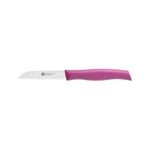 Zwilling 381900800 Sebze Meyve Bıçağı