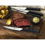 Zwilling 390290000 4'lü Biftek Bıçağı Seti