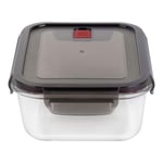 Zwilling Cam Saklama Kabı , 0.50 L