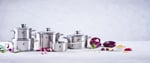 Zwilling Focus 5 Parça Tencere Seti, Paslanmaz Çelik, Gümüş Rengi