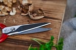 Zwilling Kitchen Shears Çok Amaçlı Makas, Paslanmaz Çelik, Kırmızı
