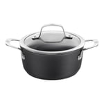 Zwilling Tencere Cam Kapaklı