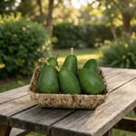 15 ADET AVOKADO (160 - 200 GR)