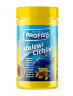 PROFIŞHMALAVİ CİCHLİD