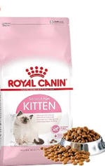 ROYAL CANİN KITTEN AÇIK1KĞ