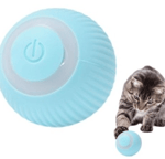 ŞARZLI KÜÇÜK KEDİ TOPU