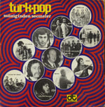  Türk-pop Müziğinden Seçmeler LP PLAK 