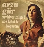 Arzu Hür Sevişiyoruz işte 45 LİK PLAK 