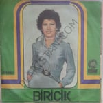Biricik Ne Olur Bu Aşkı Öldürmeyelim 45lik
