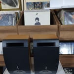 Bose 201 V Speaker 