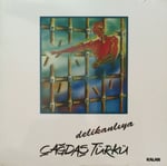 Çağdaş Türkü Delikanlıya LP PLAK 