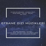 Efsane Dizi Müzikleri LP PLAK 
