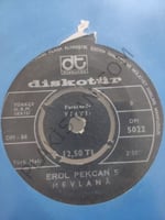 Erol Pekcan 5 Evlerinin Önü Zeytin Ağacı 45lik