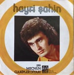 Hayri Şahin Mecnun 45 LİK PLAK 