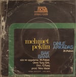 Mehmet Pekün Dinle arkadaş 45 LİK PLAK 