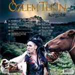özlemTekin Kargalar LP PLAK