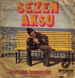 Sezen Aksu Kusura bakma 45 LİK PLAK 