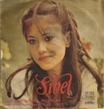 Sibel Bir yer arıyorum 45 LİK PLAK 