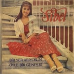 Sibel Bir yer arıyorum 45 LİK PLAK 
