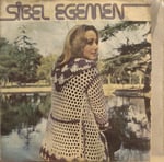 Sibel Egemen Hayret 45 LİK PLAK 