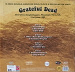 The Grateful Dead – A Touch Of Grey 10 İnç 2 LP PLAK 