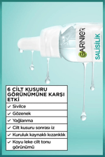 Garnier Salisilik 7 Day Clinical Sivilce Karşıtı Serum 30ML, (7% Niasinamid, Gliserin, Laktik Asit) , Vegan