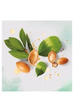 Onarıcı Saç Maskesi Fas Argan Yağı 250 ml