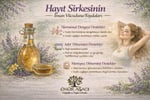 HAYIT SİRKESİ