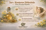 SARI KANTORON SİRKESİ