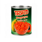 Trofco Papaya Konservesi Şurup İçerisinde 565 gr