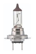 H7 Ampul Standart Işık 12V 100W - 22199