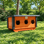 3'LÜ KEDİ EVİ