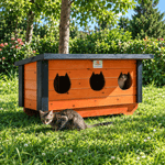3'LÜ KEDİ EVİ
